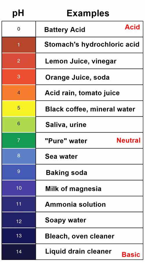 Apple Cider Vinegar pH level