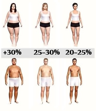 Body Fat Visual Chart